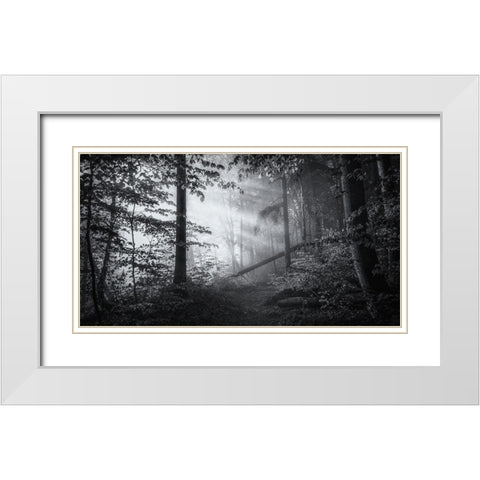 point of no return White Modern Wood Framed Art Print with Double Matting by Maier, Norbert