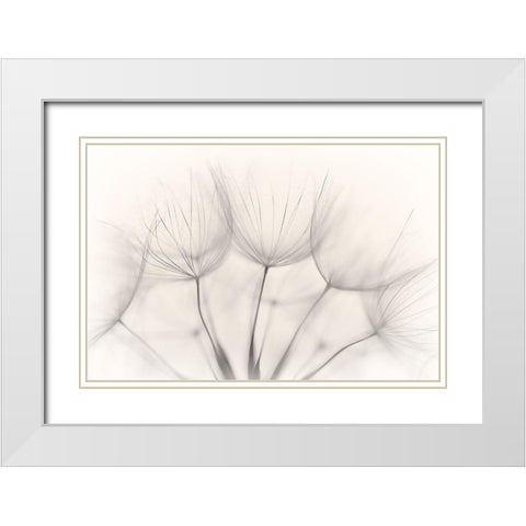 No title White Modern Wood Framed Art Print with Double Matting by Arnholtz, Jakob