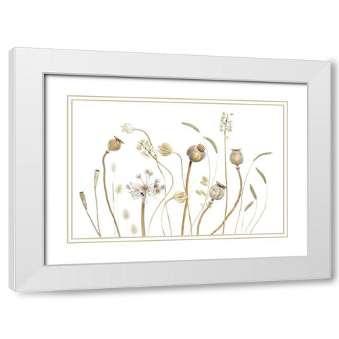 Pods White Modern Wood Framed Art Print with Double Matting by Disher, Mandy