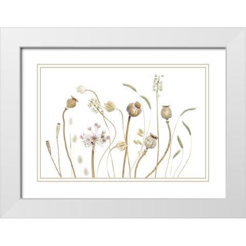 Pods White Modern Wood Framed Art Print with Double Matting by Disher, Mandy