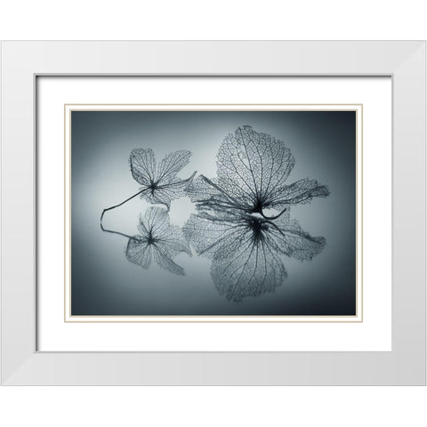 Ephemeral Beauty White Modern Wood Framed Art Print with Double Matting by Kowatari, Shihya