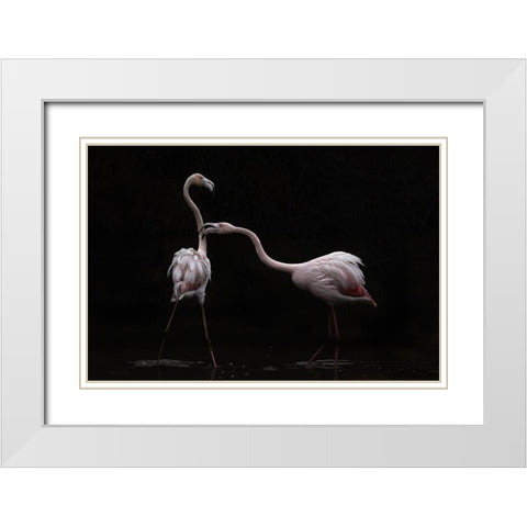 Not all is rosy White Modern Wood Framed Art Print with Double Matting by Benezech, Martine