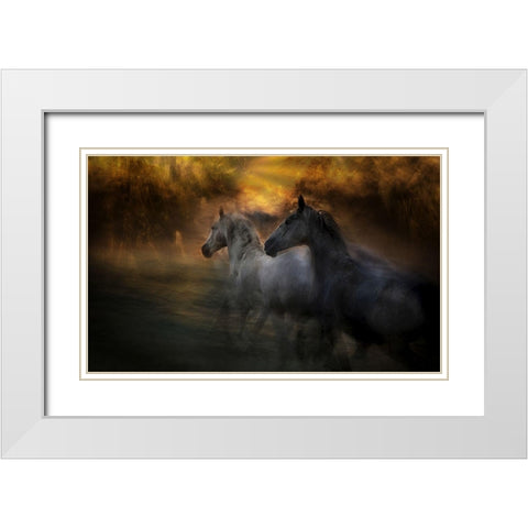 Duel White Modern Wood Framed Art Print with Double Matting by Malovrh, Milan