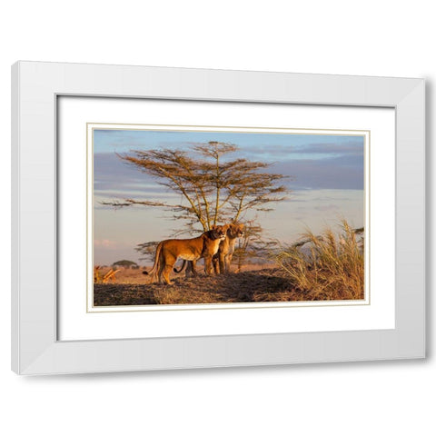 Sisters White Modern Wood Framed Art Print with Double Matting by Catta, Alessandro