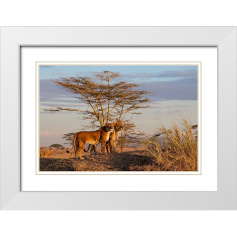 Sisters White Modern Wood Framed Art Print with Double Matting by Catta, Alessandro