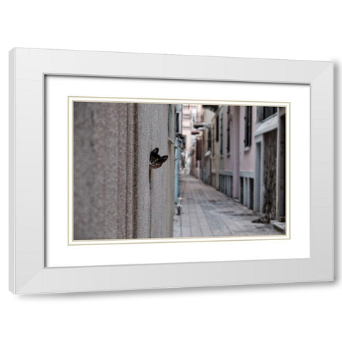 Dantel Street Cat White Modern Wood Framed Art Print with Double Matting by Ayer, Ali