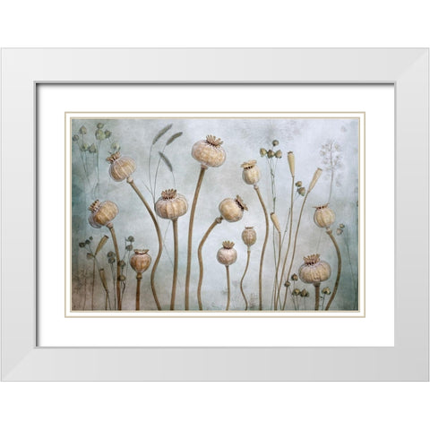 Papaver White Modern Wood Framed Art Print with Double Matting by Disher, Mandy