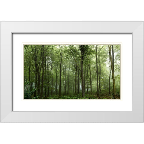 Forest White Modern Wood Framed Art Print with Double Matting by Londal, Leif