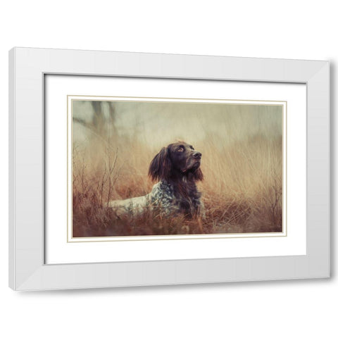 Beautiful Aragorn White Modern Wood Framed Art Print with Double Matting by Willers, Heike