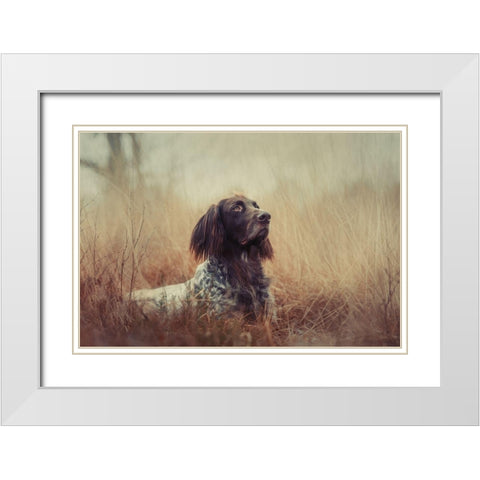 Beautiful Aragorn White Modern Wood Framed Art Print with Double Matting by Willers, Heike