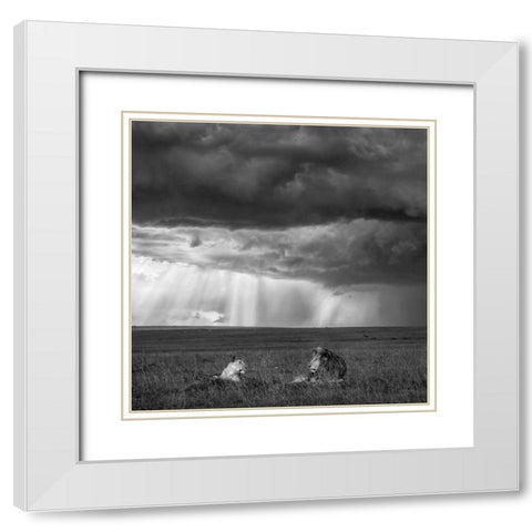 Valentine White Modern Wood Framed Art Print with Double Matting by Fan, John