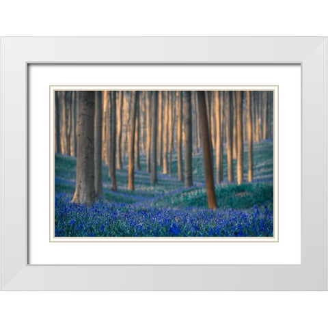 Dreams are made of these White Modern Wood Framed Art Print with Double Matting by Popan, Adrian