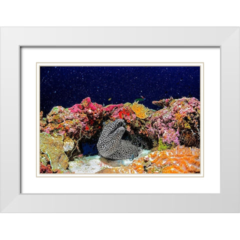 Under the Star White Modern Wood Framed Art Print with Double Matting by Marchegiani, Roberto