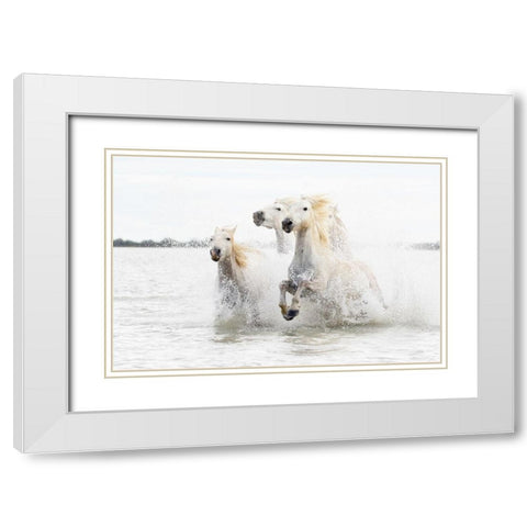 Horses  hight key White Modern Wood Framed Art Print with Double Matting by De Simone, Ciro
