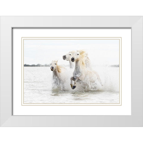 Horses  hight key White Modern Wood Framed Art Print with Double Matting by De Simone, Ciro