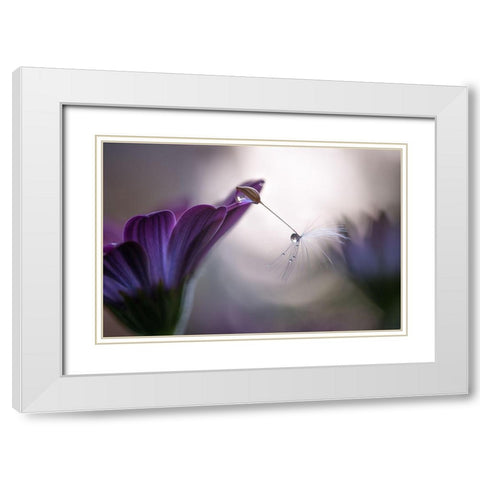 Purple rain White Modern Wood Framed Art Print with Double Matting by Spedicato, Silvia
