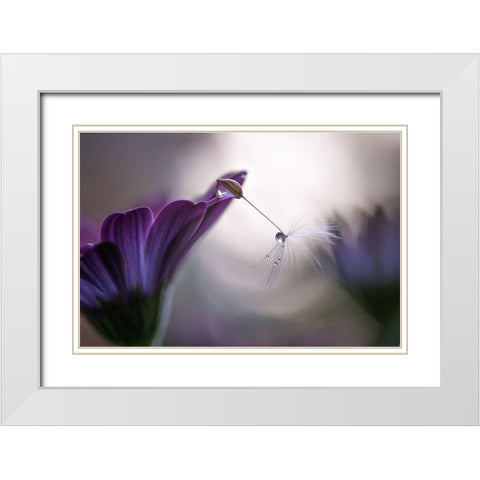 Purple rain White Modern Wood Framed Art Print with Double Matting by Spedicato, Silvia