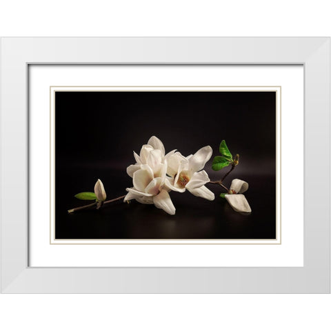 Magnolia White Modern Wood Framed Art Print with Double Matting by Tony08