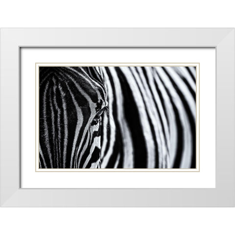The look of nature White Modern Wood Framed Art Print with Double Matting by Tagliarino, Marco