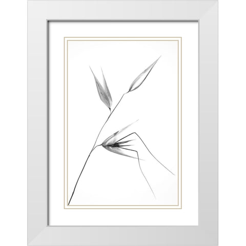 beauty of a weed White Modern Wood Framed Art Print with Double Matting by Lagandre, Thierry