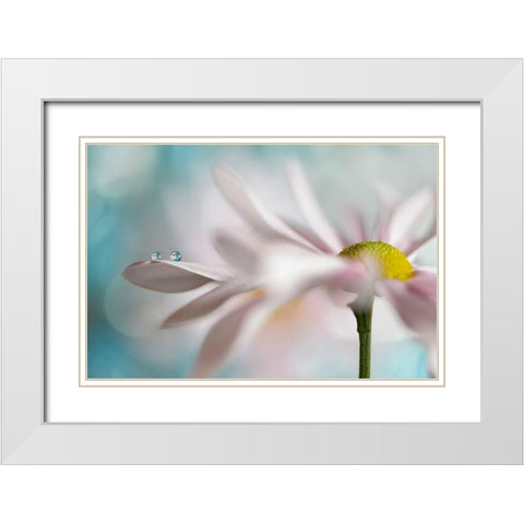 Tiny duo White Modern Wood Framed Art Print with Double Matting by Westum, Heidi