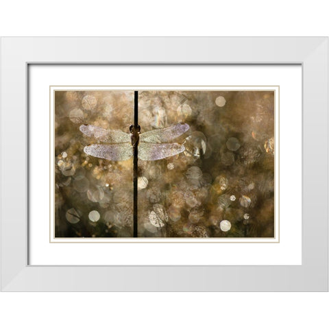 Morning Light White Modern Wood Framed Art Print with Double Matting by Blanken, Rob