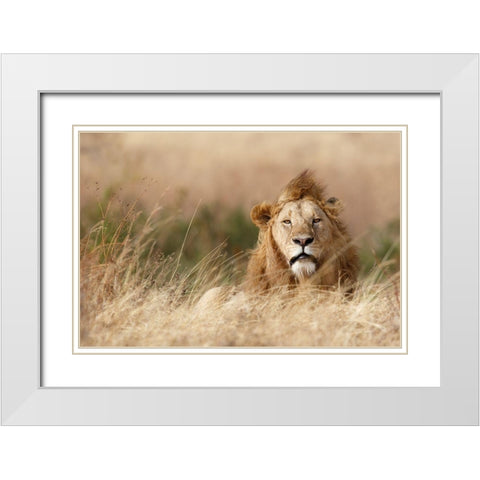 Handsome! White Modern Wood Framed Art Print with Double Matting by Khataw, Ali