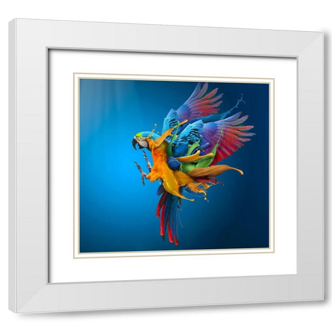 Flying Colours White Modern Wood Framed Art Print with Double Matting by Almawash, Sulaiman