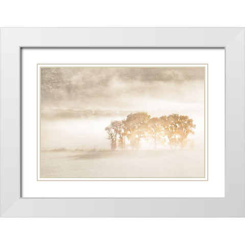 Autumn Dreams White Modern Wood Framed Art Print with Double Matting by Fan, John
