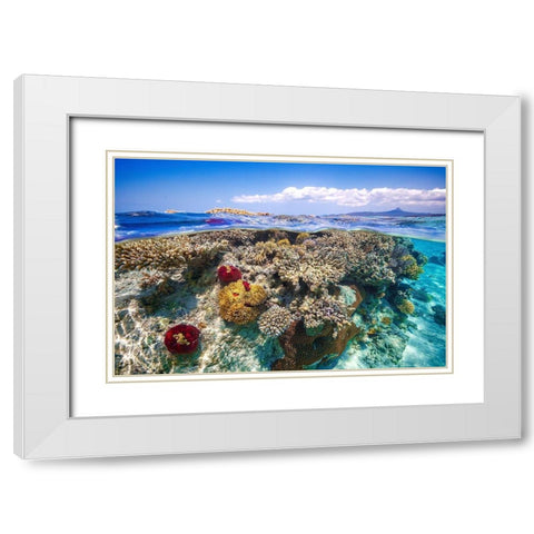 Mayotte : The Reef White Modern Wood Framed Art Print with Double Matting by Gabriel, Barathieu