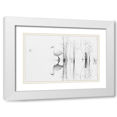 white White Modern Wood Framed Art Print with Double Matting by Planinski, Zhecho