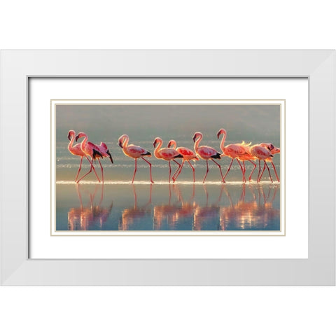 Flamingo White Modern Wood Framed Art Print with Double Matting by Chang, Phillip