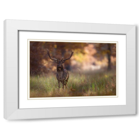 Posing White Modern Wood Framed Art Print with Double Matting by Mastahac, Sebastian