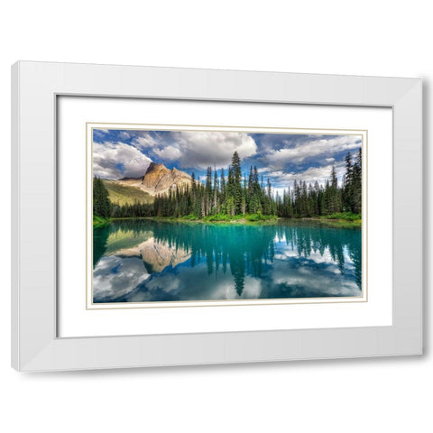 Emerald White Modern Wood Framed Art Print with Double Matting by Dujic Lighthunter, Zoran