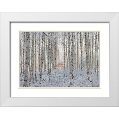 white White Modern Wood Framed Art Print with Double Matting by Hee Han, Dong