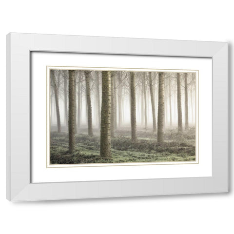Small woodland White Modern Wood Framed Art Print with Double Matting by Carozzi, Fiorenzo