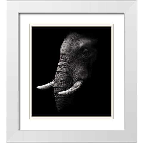 Portrait White Modern Wood Framed Art Print with Double Matting by Wildphotoart
