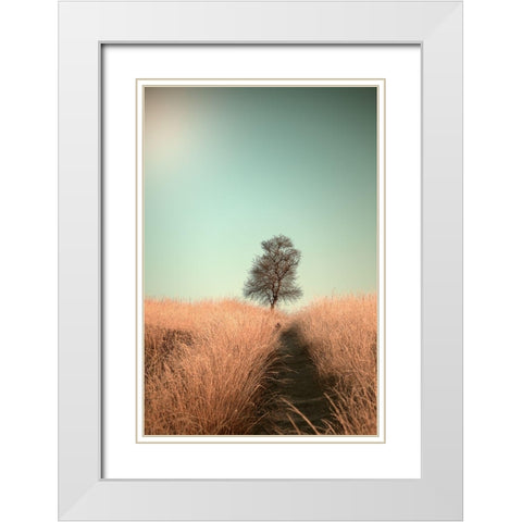 Grass and Path White Modern Wood Framed Art Print with Double Matting by Van Den, Jaap