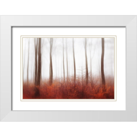 Endless Woods White Modern Wood Framed Art Print with Double Matting by Davidsson, Gustav