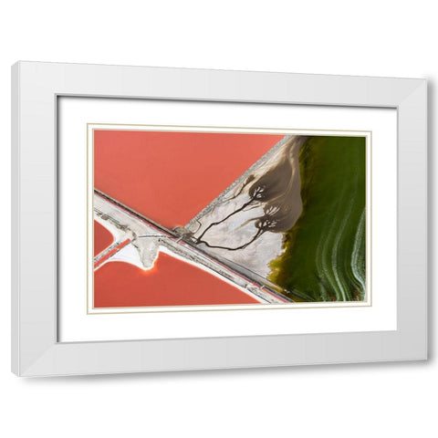 Natures painting White Modern Wood Framed Art Print with Double Matting by Macua, Gerald