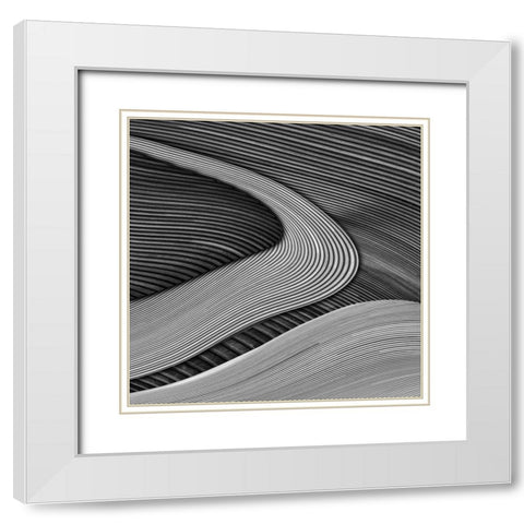 The wood project III - Zen garden White Modern Wood Framed Art Print with Double Matting by Vangindertael (Lagrange), Luc