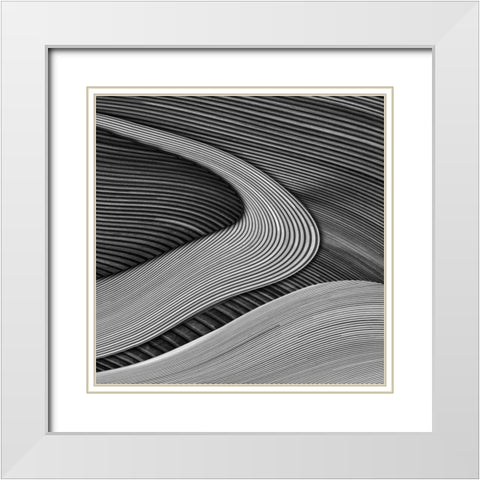 The wood project III - Zen garden White Modern Wood Framed Art Print with Double Matting by Vangindertael (Lagrange), Luc