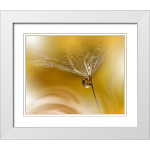 SunBeam White Modern Wood Framed Art Print with Double Matting by Nan, Juliana