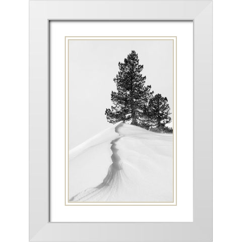 About the snow and forms White Modern Wood Framed Art Print with Double Matting by Nunez Buj, Rodrigo