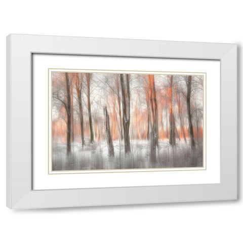 Evening Light White Modern Wood Framed Art Print with Double Matting by Davidsson, Gustav