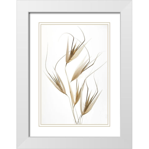 Delicacy of nature White Modern Wood Framed Art Print with Double Matting by Lagandre, Thierry