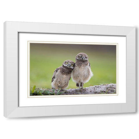 Friends White Modern Wood Framed Art Print with Double Matting by Barsh, Greg
