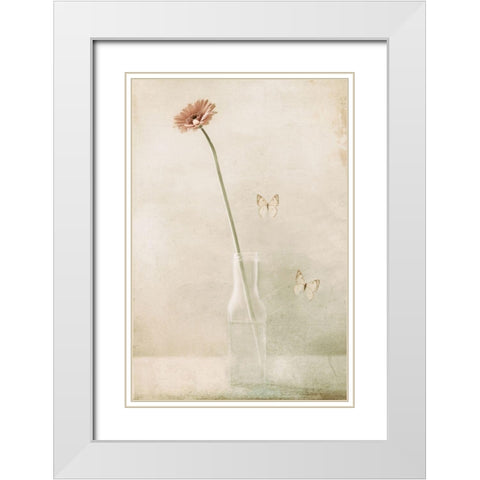Miss Daisy White Modern Wood Framed Art Print with Double Matting by Devos, Delphine