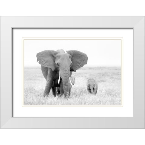 Stay Away! White Modern Wood Framed Art Print with Double Matting by Fan, John