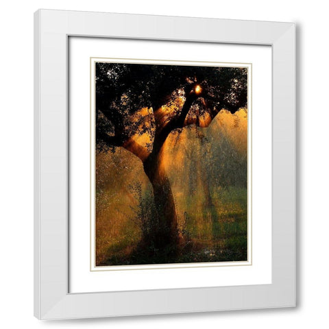 light shower White Modern Wood Framed Art Print with Double Matting by Castoldi, Stefano